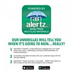 The Challenger II - 62